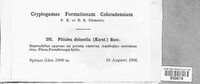 Cyathicula dolosella image